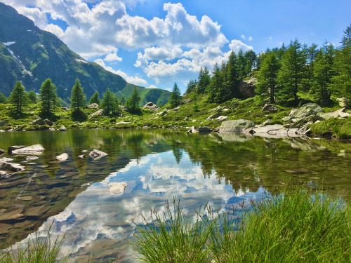 Mässersee